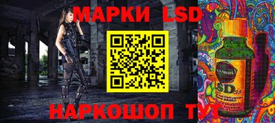 apvp Бердск