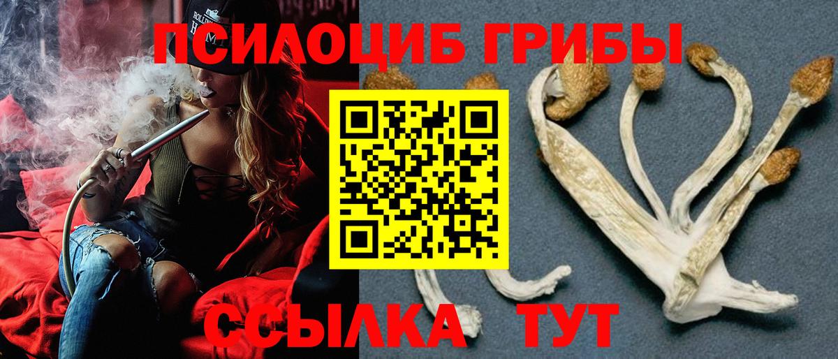 Галлюциногенные грибы MAGIC MUSHROOMS  Псилоцибиновые грибы Psilocybe  Вход с VPN  Борзя 